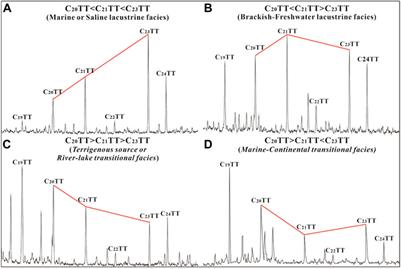 C20-C21-C23 tricyclic terpanes abundance patterns: Origin and application to depositional environment identification